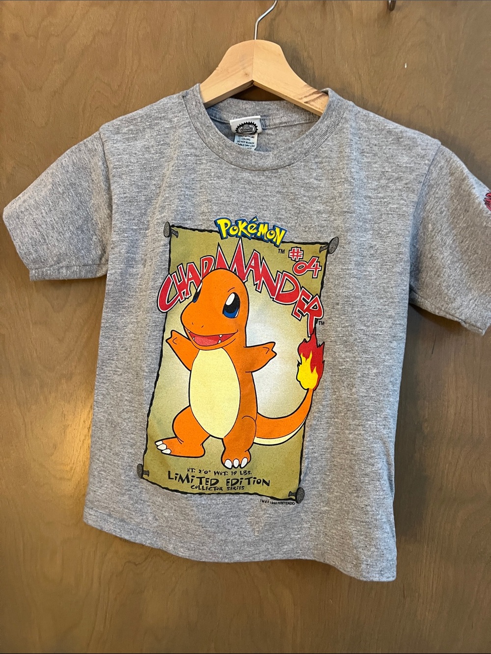 Pokemon Charmander Kids Short Sleeve Tee - Gray